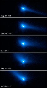 Binary Asteroid System 2006 VW139/288P
