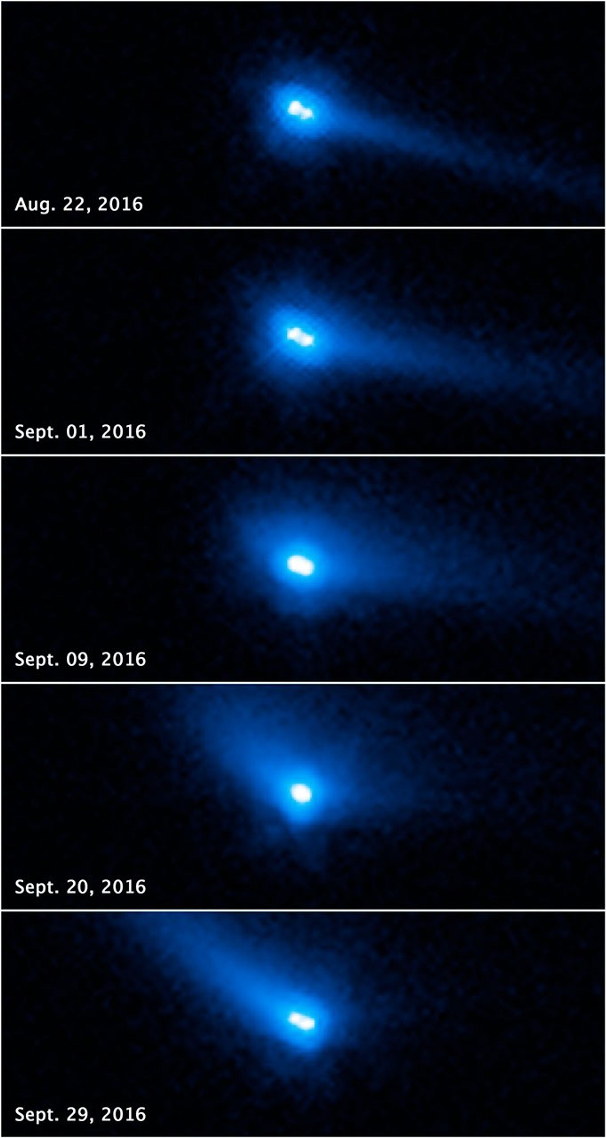 Binary Asteroid System 2006 VW139/288P