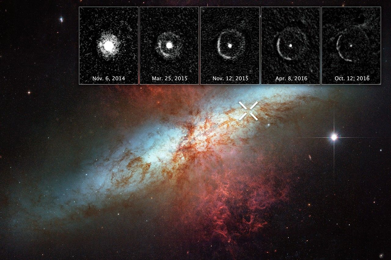 Light Echo around SN 2014J in M82