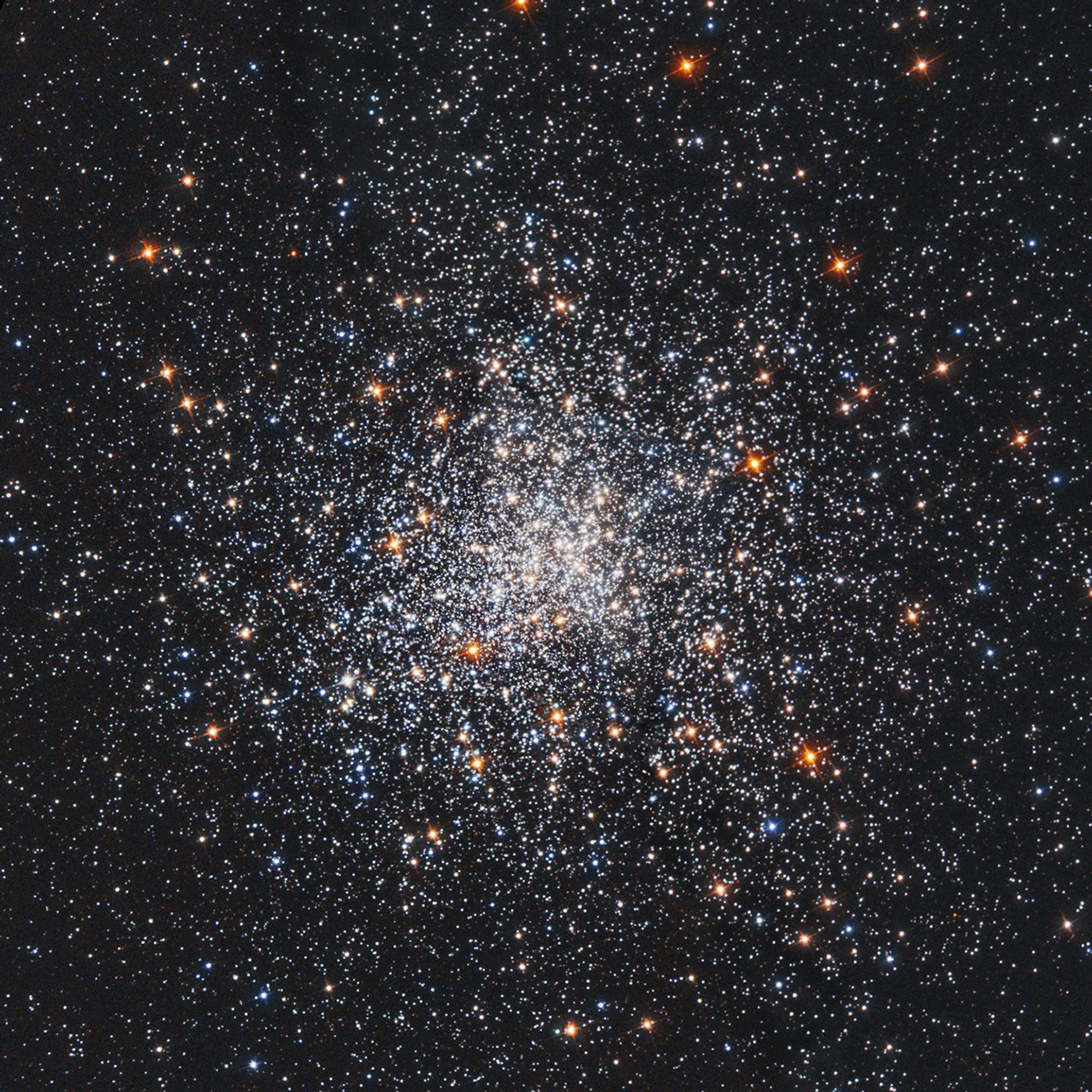 Globular Cluster Messier 79 (M79, NGC 1904) - Cropped