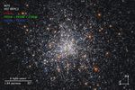 Compass Image for Globular Cluster Messier 79 (M79, NGC 1904 )