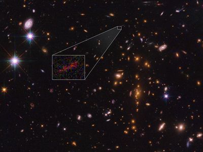 SPT0615-JD Lensed Galaxy (z~10)