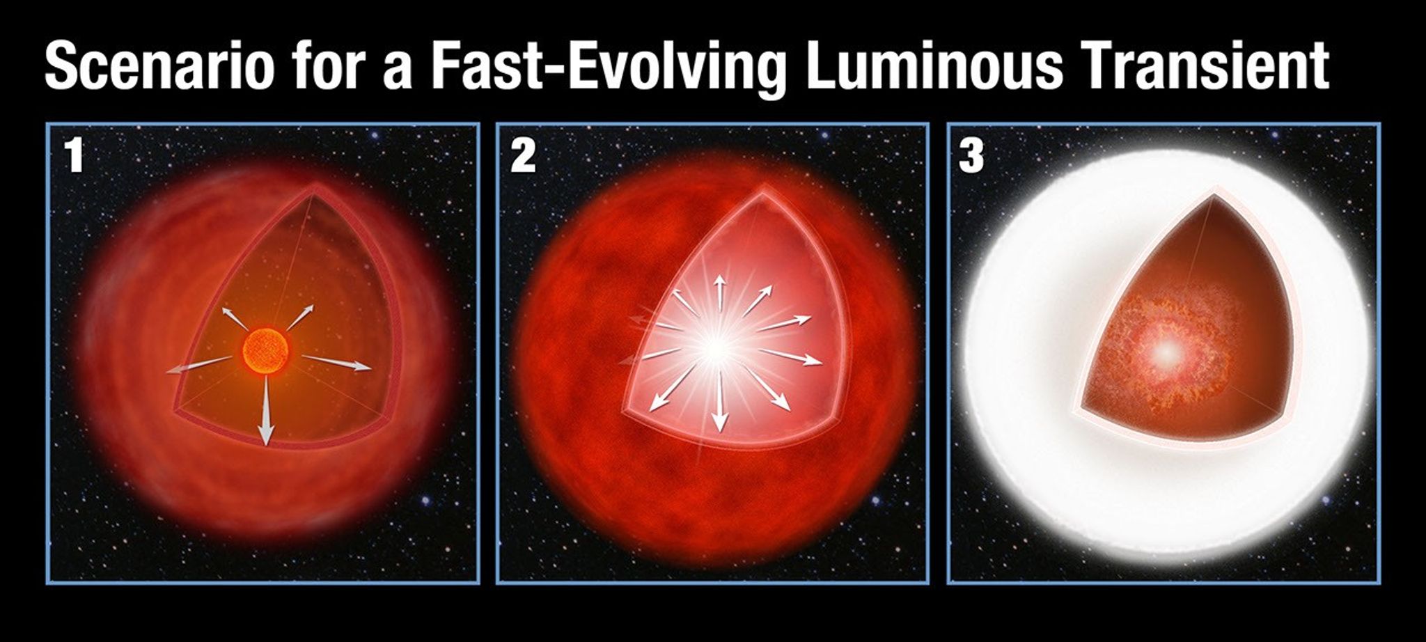 Scenario for a Fast-Evolving Luminous Transient