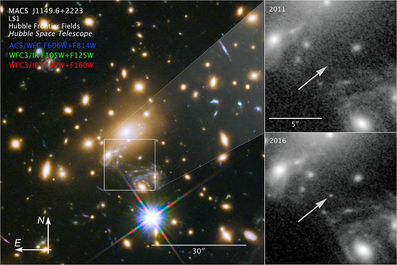 Compass Image for Icarus (MACS J1149_2223 Lensed Star 1)