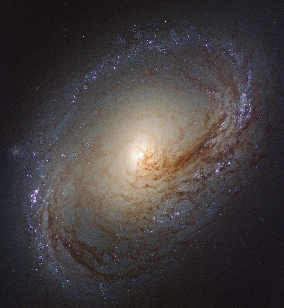 A spiral galaxy with a ring of blue and red star clusters.