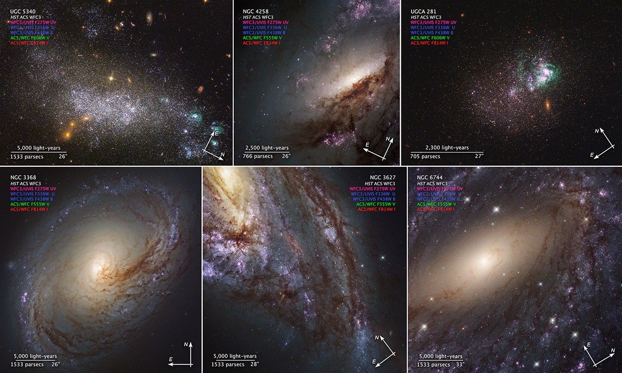 Compass Image for LEGUS Galaxies