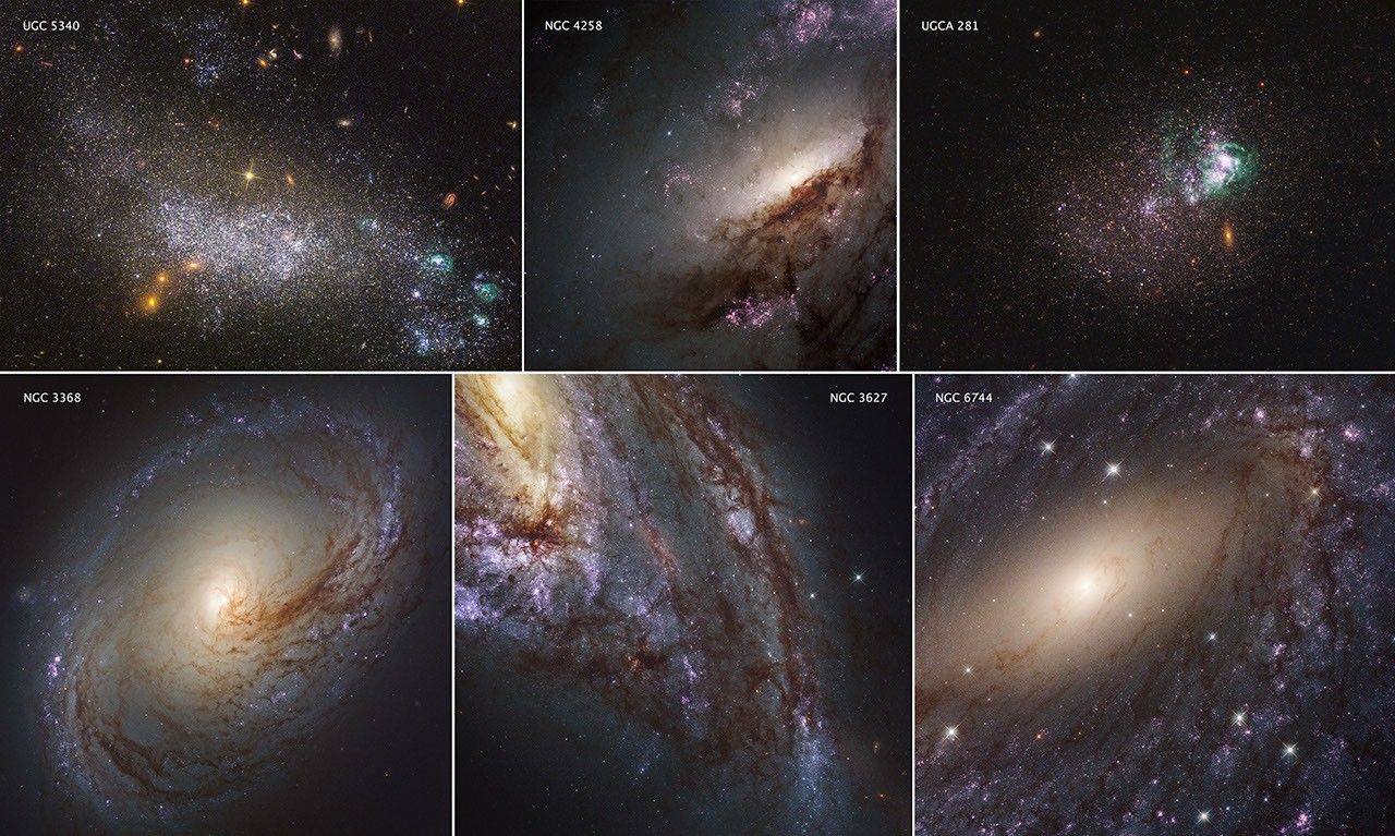 LEGUS Galaxies