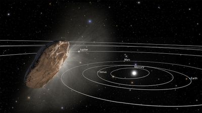 Artist’s Impression of `Oumuamua