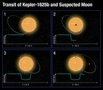 Transit of Kepler-1625b and Suspected Moon