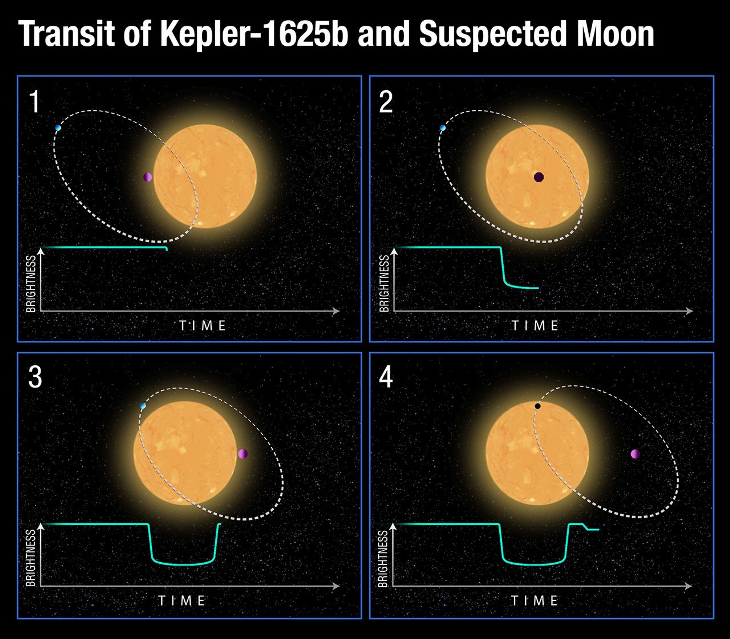 Transit of Kepler-1625b and Suspected Moon