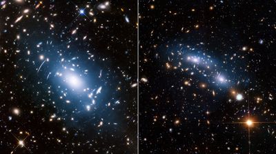 Galaxy Clusters Abell S1063 and MACS J0416.1-2403