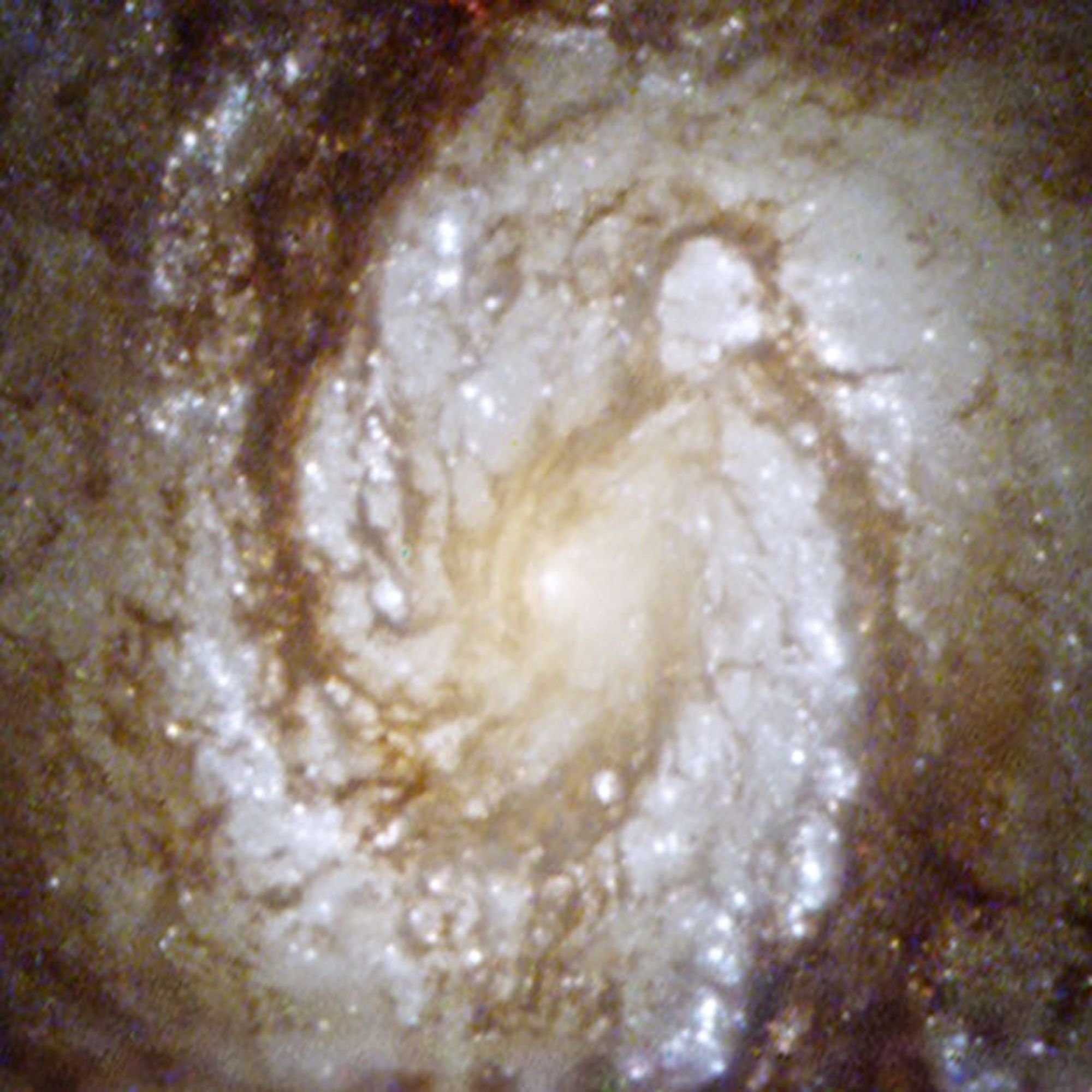 Image by the Hubble Space Telescope’s Wide Field/Planetary Camera 2 showing the bright central core of spiral galaxy M100. The overall image is slightly grainy.