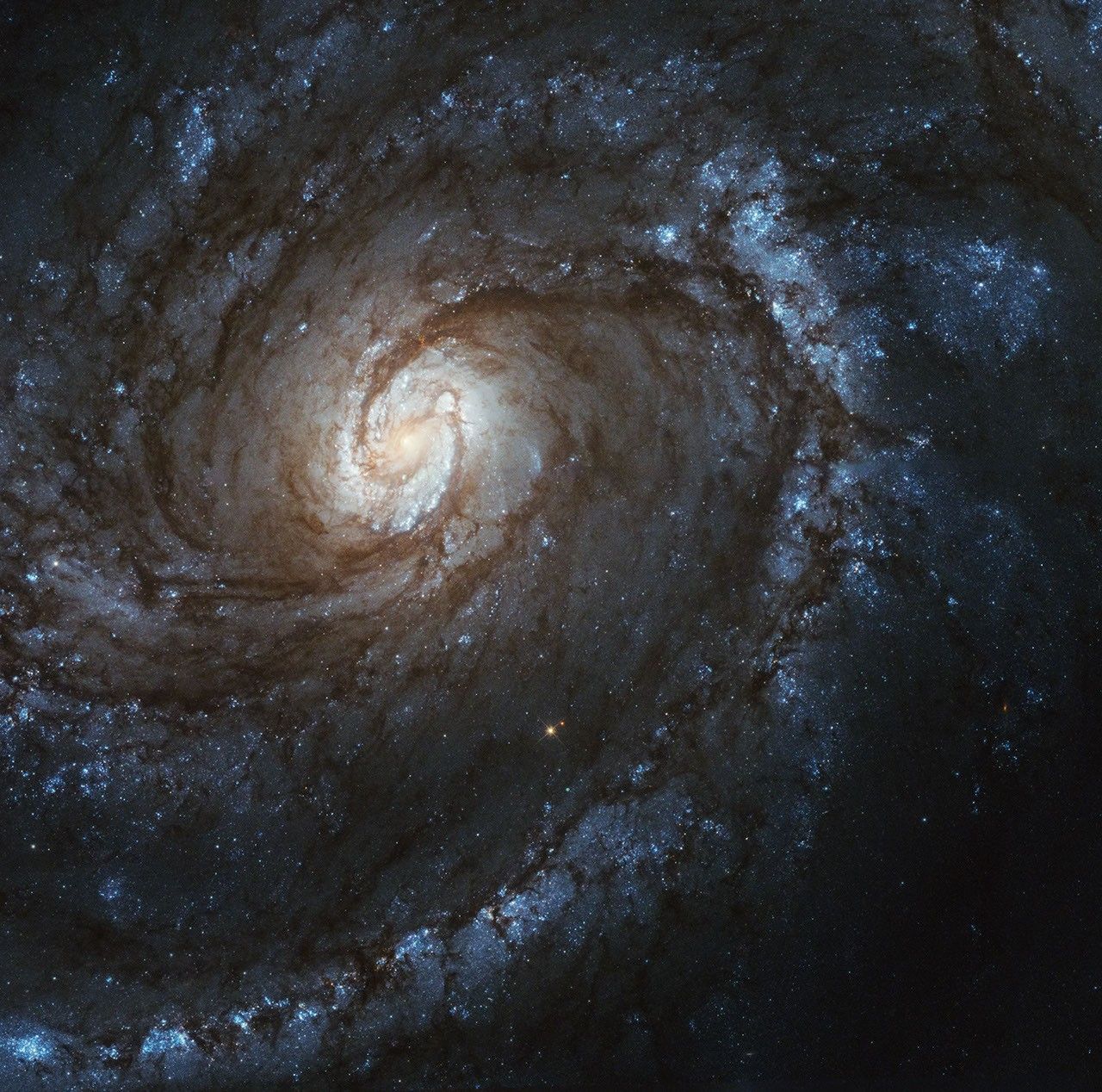 A galaxy with blue spiral arms.