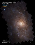 Triangulum Galaxy,  M33, with compass overlay
