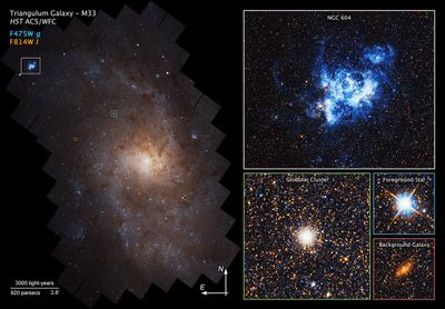 Close-up Views of Triangulum Galaxy (M33)