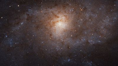 Triangulum Galaxy (M33) Crop