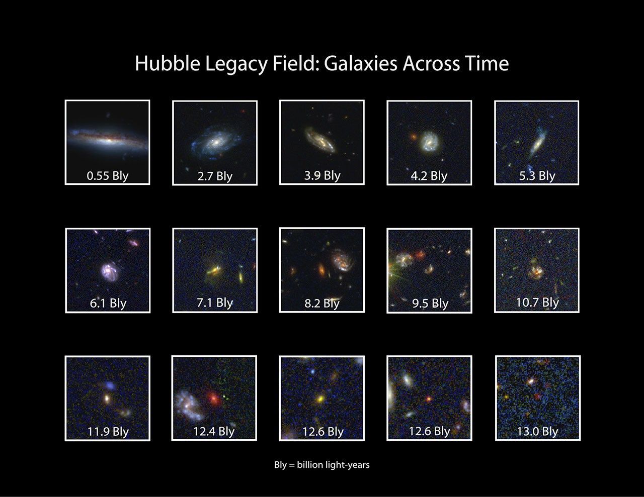 Hubble Legacy Field: Galaxies Across Time