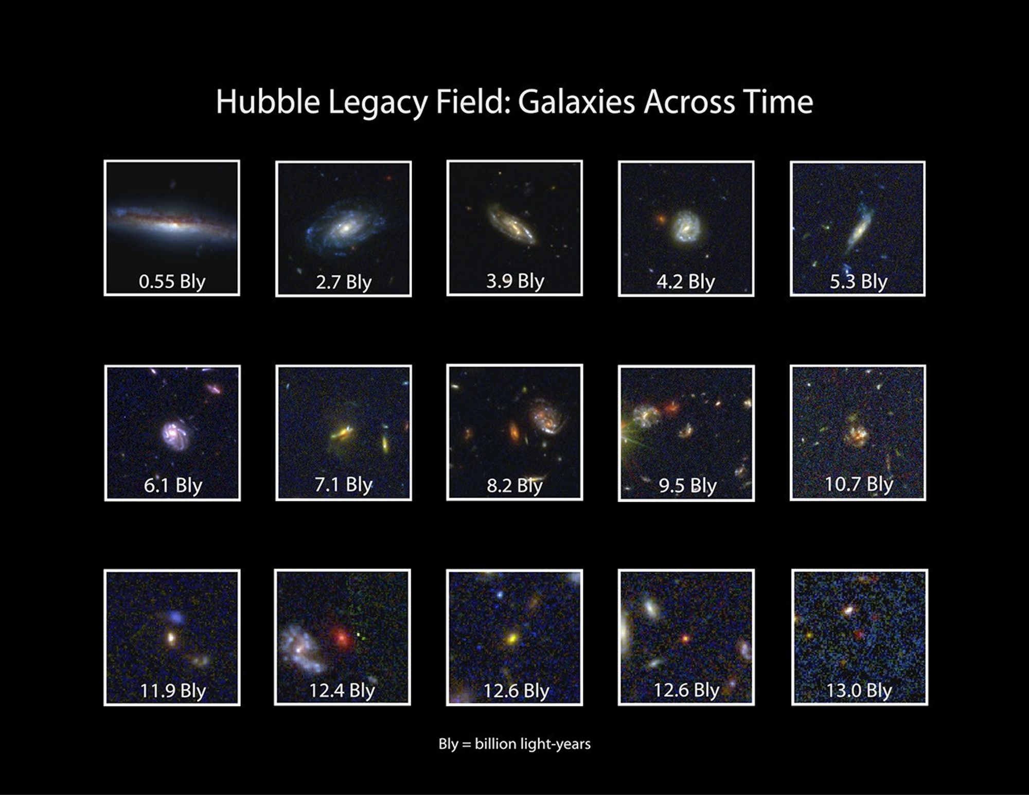 Hubble Legacy Field: Galaxies Across Time