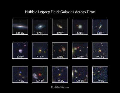 Hubble Legacy Field: Galaxies Across Time
