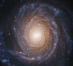 A face-on spiral galaxy takes up almost the entire frame.