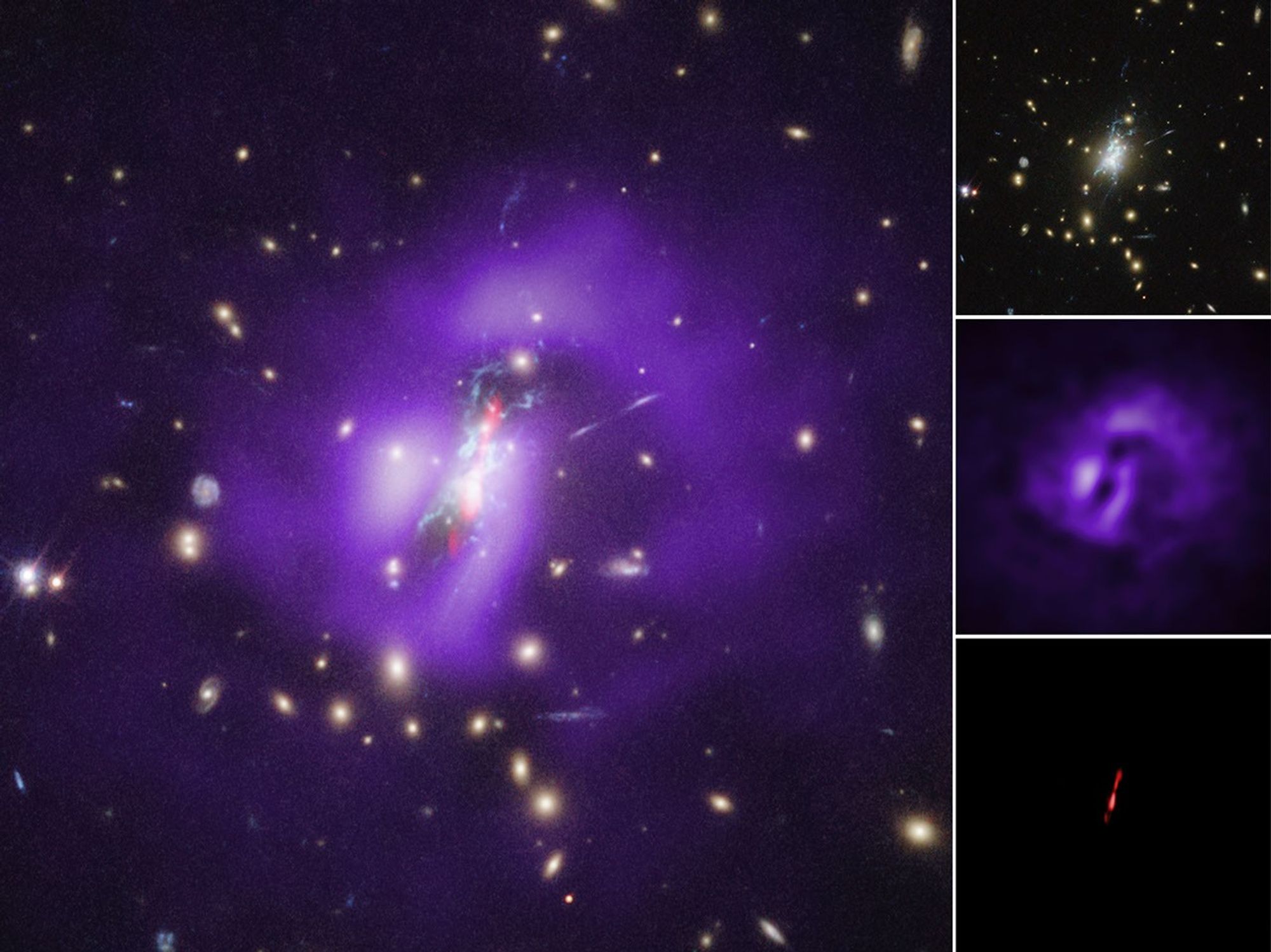 Phoenix Cluster Individual Wavelengths