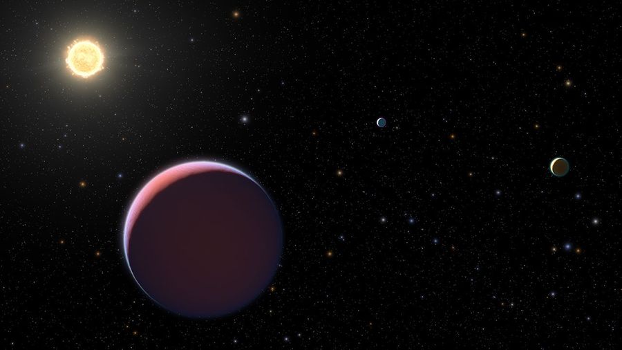 Illustration of Kepler 51 System