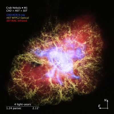 Crab Nebula: The Multiwavelength Structure of a Pulsar Wind Nebula