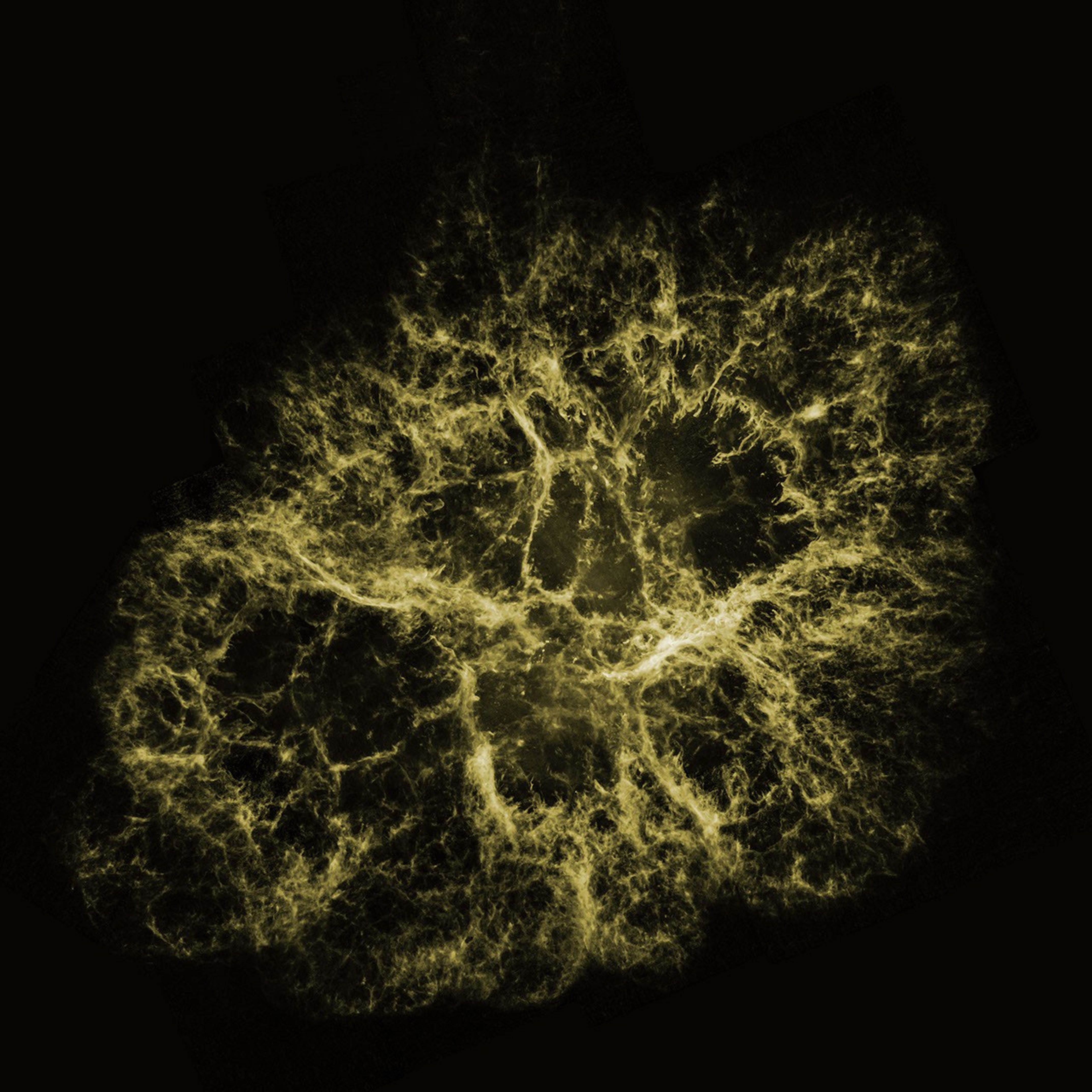 Optical View of Crab Nebula