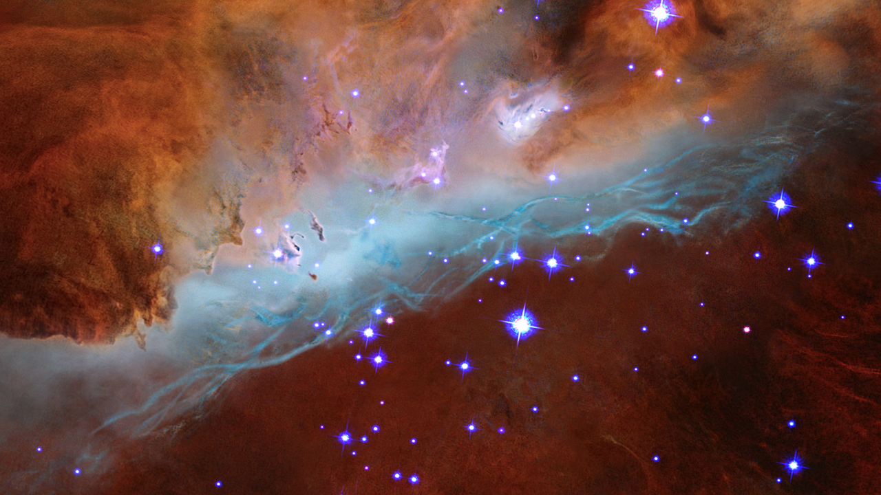 Cosmic Reef Visualization
