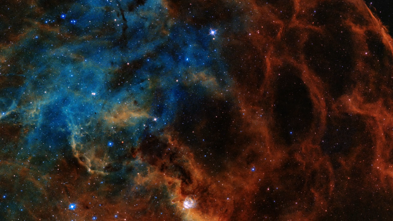 Cosmic Reef Pan Video