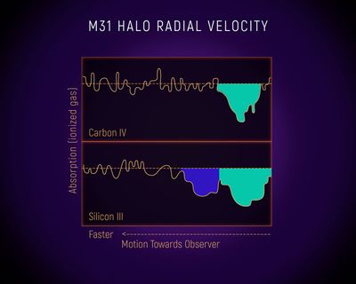 M31 Halo Radial Velocity