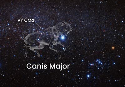 Location of VY CMa on the Sky