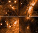 Four images of infant stars in the Orion complex