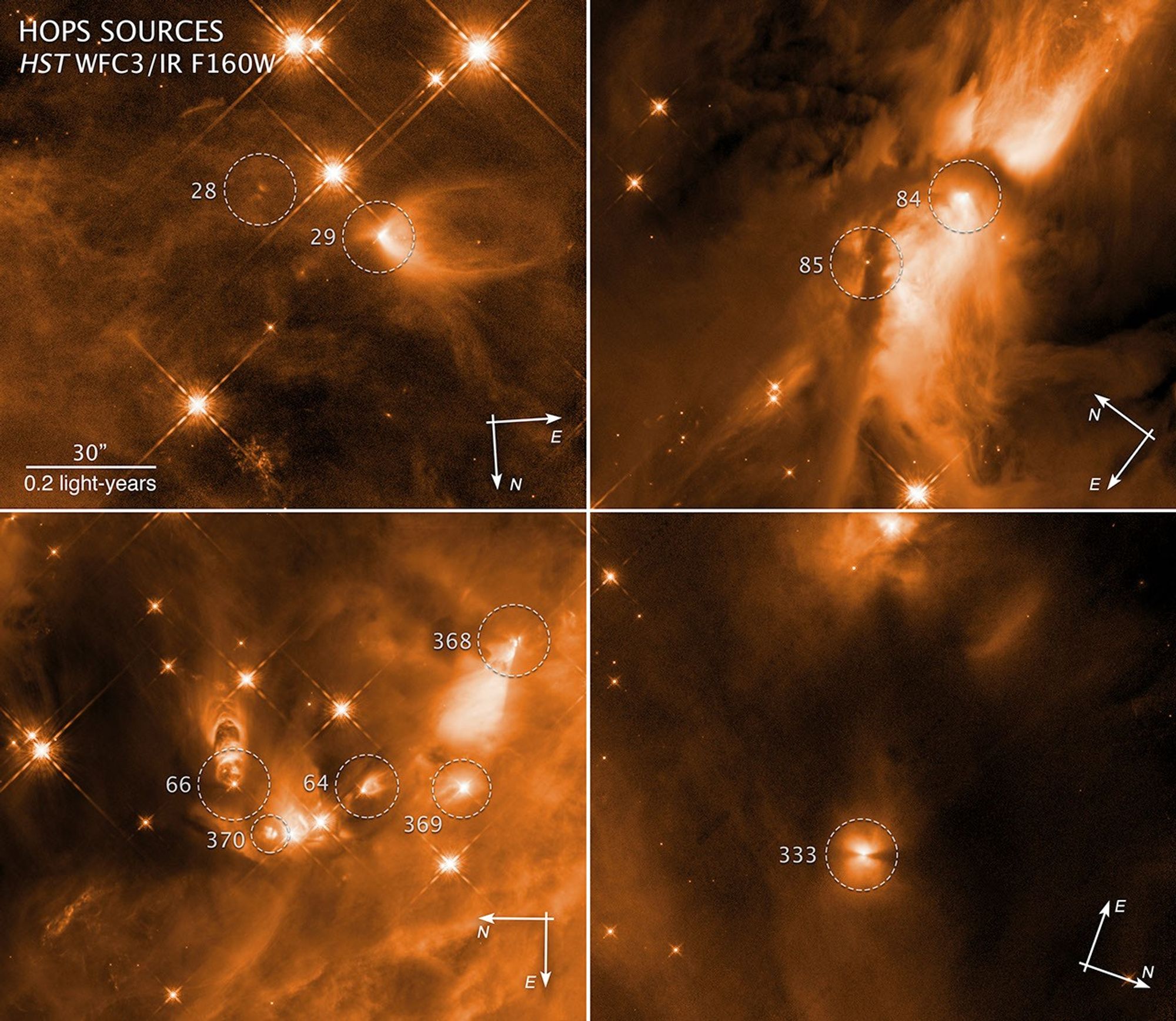 Infant stars in Orion compass and scale image