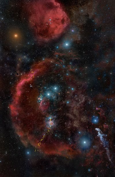 HOPS Sources in Orion