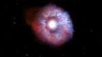 Bright star surrounded by shell of gas and dust