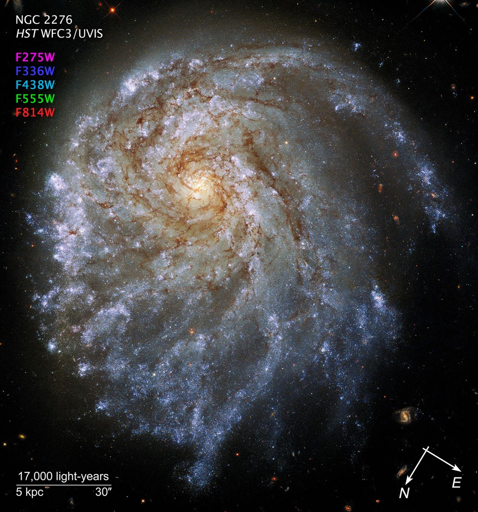Annotated image of a large spiral galaxy filled with streaks of blue and pink on a black, starry background, with compass arrows, a scale bar, and color key for reference. Its right-side arm appears to be breaking away from the rest of the galaxy.