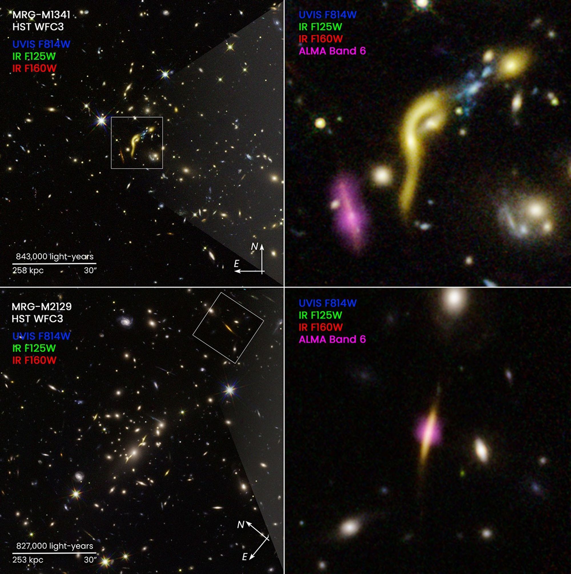 Four-panel compass image of gravitationally lensed galaxies in lensing galaxy clusters MACS J1341 and MACS J2129.