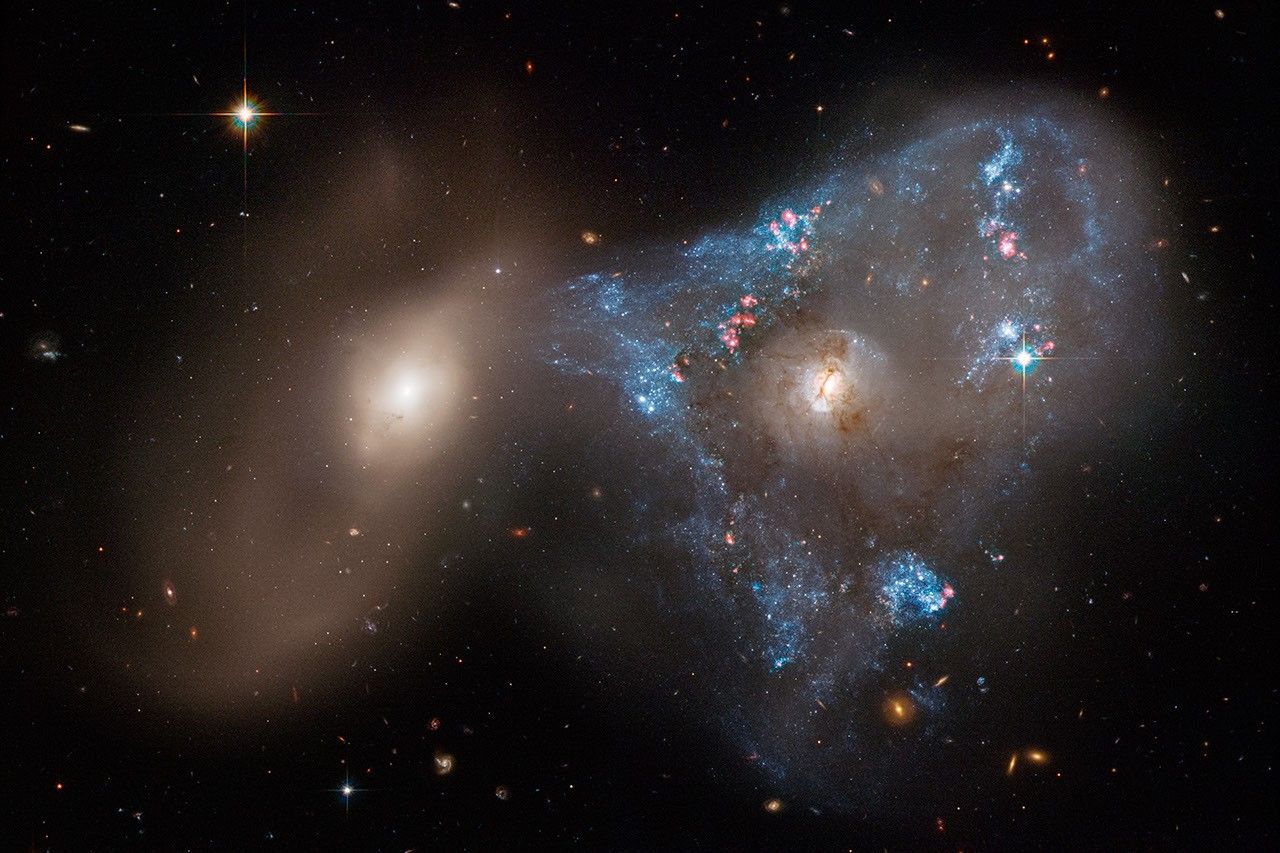 Galaxy pair Arp 143 contains distorted star-forming spiral galaxy NGC 2445 (right) and less flashy companion NGC 2444 (left)