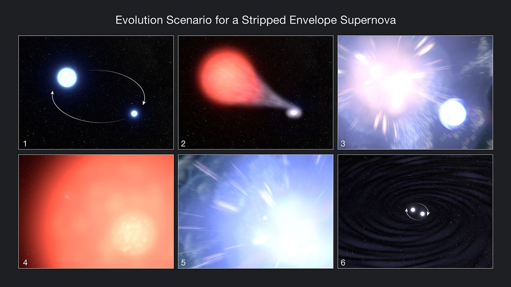 Evolution Scenario for a Stripped Envelope Supernova Illustration