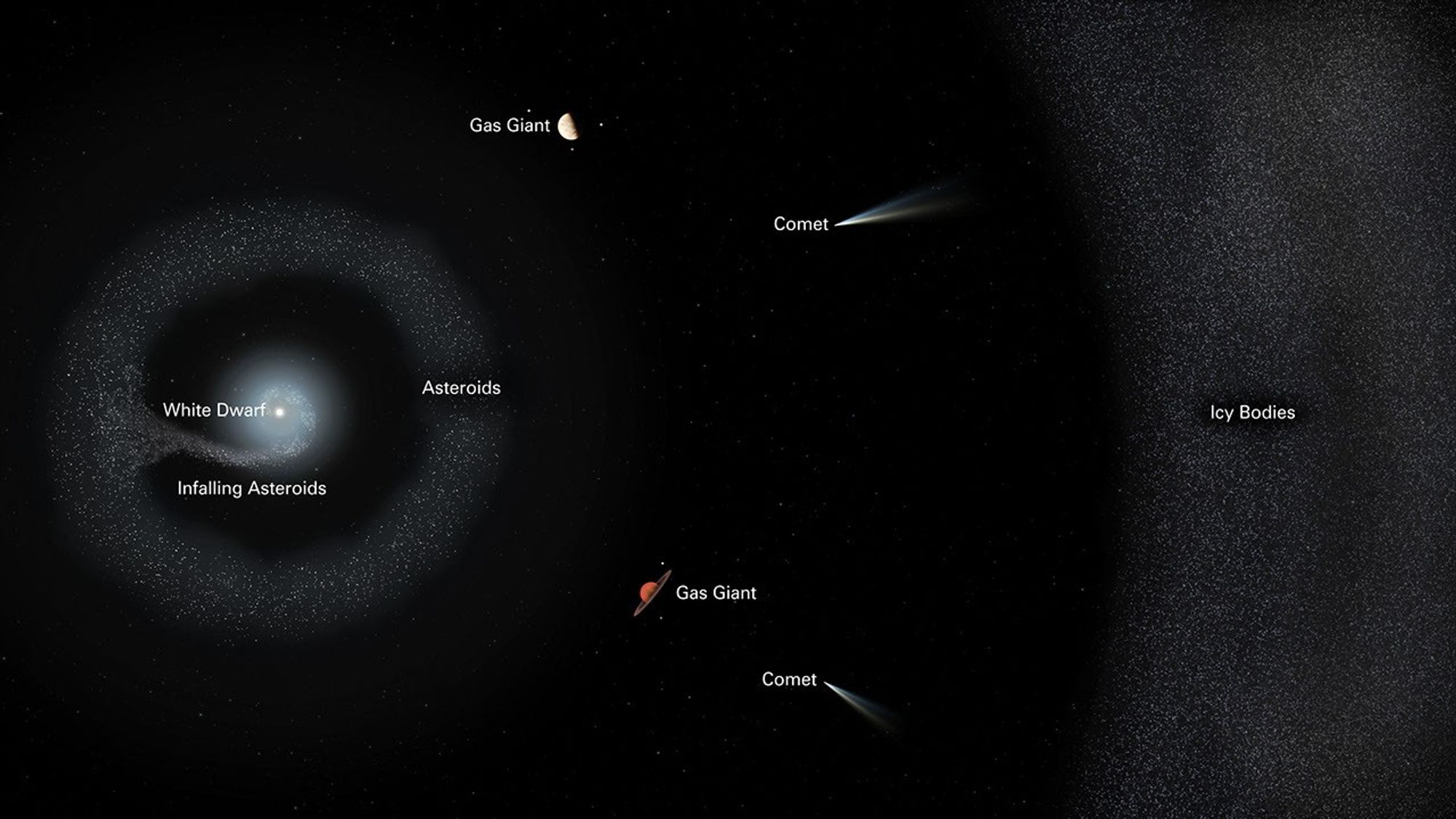 The illustration is set against a black background. Toward the left is a tiny white dwarf star surrounded by a spiral arm that runs counter clockwise. This speckled material is labeled infalling asteroids. This arm expands into a speckled circle, which is labeled asteroids. Two labeled gas giant planets exist toward the middle of the frame, along with two labeled comets. At right is another speckled area, labeled icy bodies.