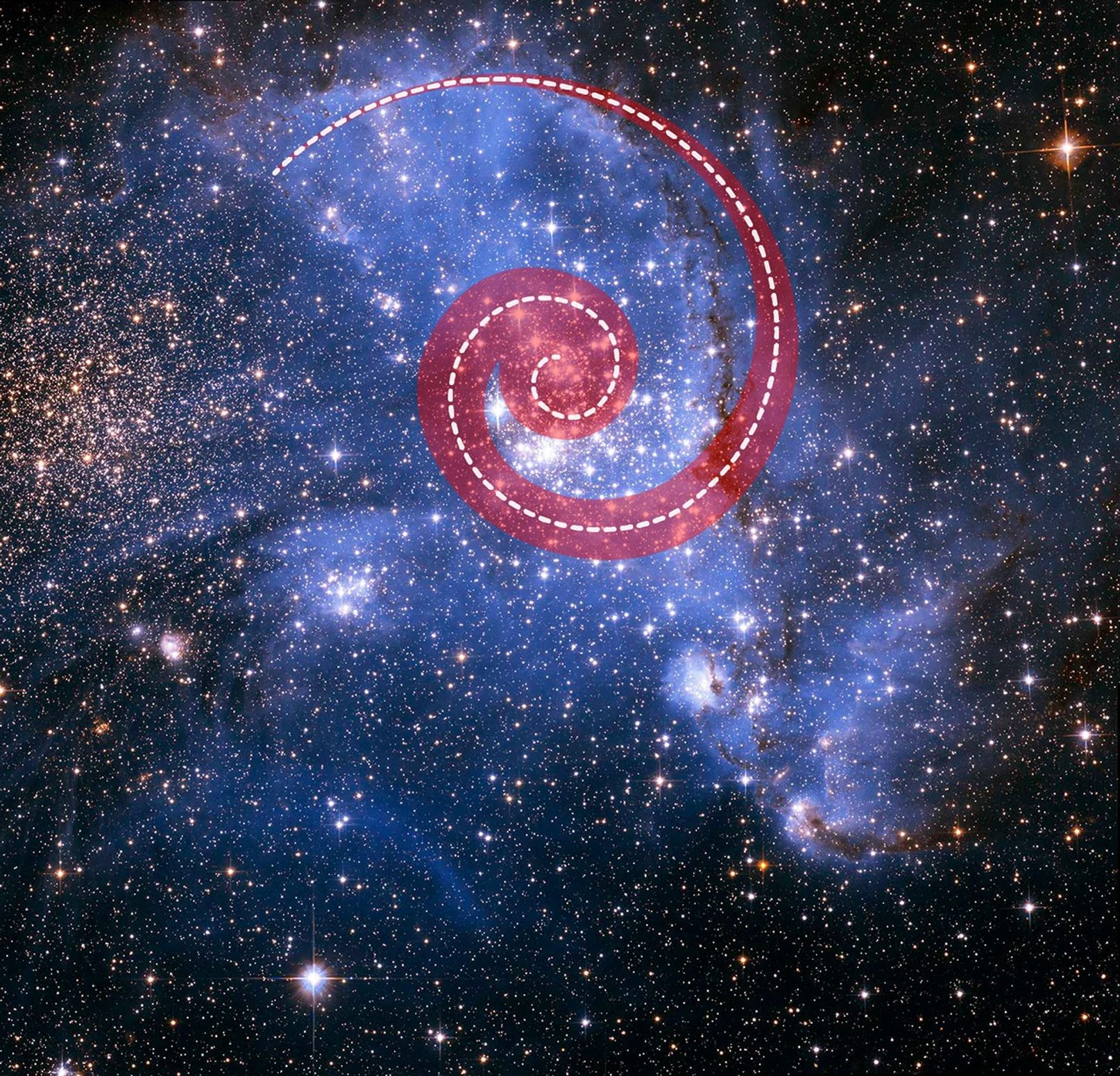Spatial Distribution of NGC 346 Stars: A black field speckled with white stars, and a large, irregularly shaped patch of purple in the center. Within this purple patch are white stars and other white clumps, along with some thin, dark lanes within the right side of the purple patch. The top half of the purple patch is more densely formed and covered in more white stars and other white clumps than the wispy bottom of the patch. Over the top half of the purple patch is a red spiral with a dashed white line running through its center, like a spine. The red spiral increases in thickness as it approaches the tightest point of the spiral. Beneath the densest part of the spiral is the densest concentration of stars.