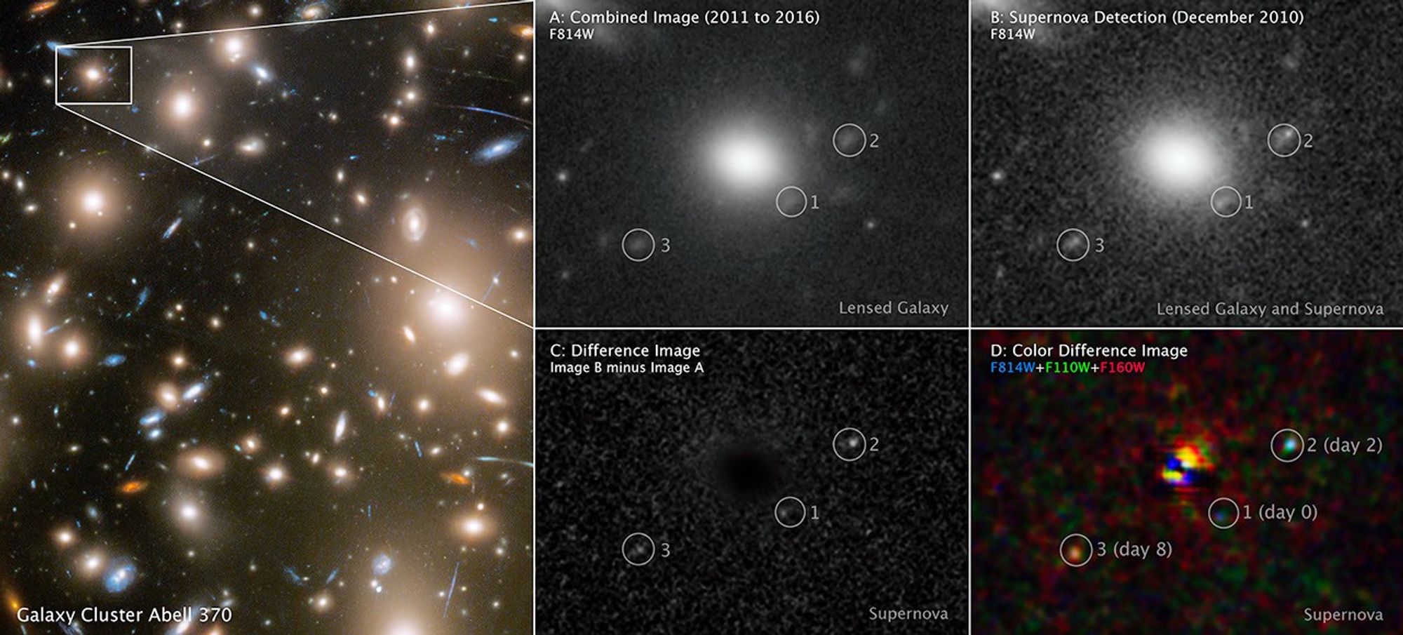 The first and largest panel of this 5-panel graphic appears on the left side of the screen. It is double the size of the other four panels. At the bottom left corner is the label “Galaxy Cluster Abell 370.” The image is a field of many dozens of white, yellow, red, and blue galaxies of various sizes and shapes. Some of the galaxies appear as streaks or arcs. A box in the top, left corner of this image highlights the portion of the galaxy cluster where the supernova was multiply imaged. To its left are four smaller panels, stacked two by two on top of each other. Each of the four panels is a version of the field contained in the small box within the first, large panel to the left. Panels A through D are explained in great detail in the Extended Description.