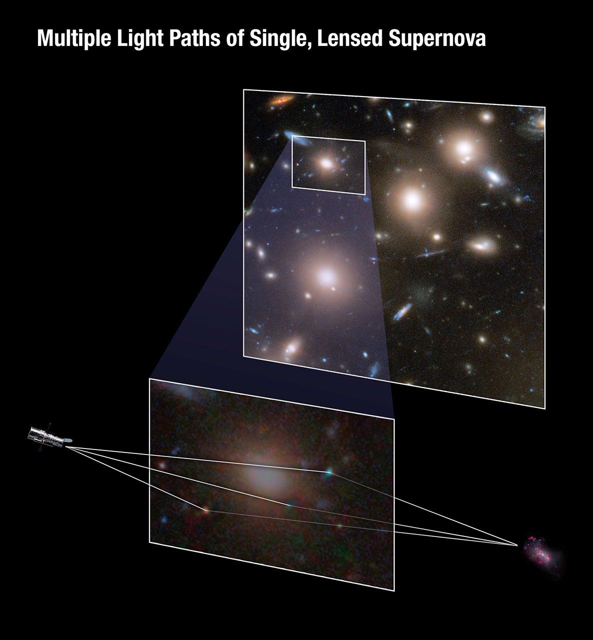 The top box shows a portion of galaxy cluster Abell 370, a field of many dozens of white, yellow, red, and blue galaxies of various sizes and shapes. Some galaxies appear as streaks or arcs. A box inside the top, left corner of this top box highlights the portion of the galaxy cluster where the supernova was multiply imaged. The bottom image is a magnified version of this area. Outside the left edge of the bottom box is a picture of the Hubble Space Telescope. Outside the right edge of this box is a depiction of the galaxy containing the supernova. The light paths for the three images of the supernova are traced from the galaxy to Hubble. Rather than being straight, these paths are bent. The lines show how the light traveled through the gravitational lens of the massive galaxy cluster, with some of the light taking longer routes across warped space. The warping produced three images of the explosion over different time periods that all arrived at Hubble simultaneously.