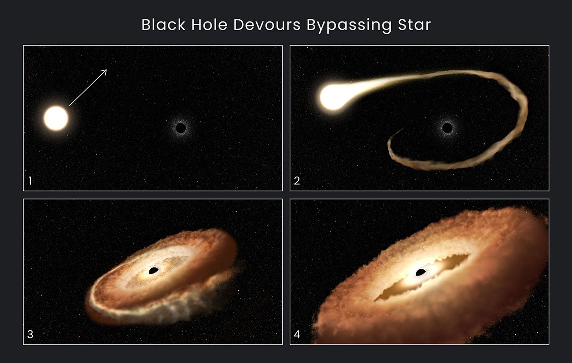 Four-panel illustration titled "Black Hole Devours Bypassing Star" showing four stages of a star being shredded by a black hole.
