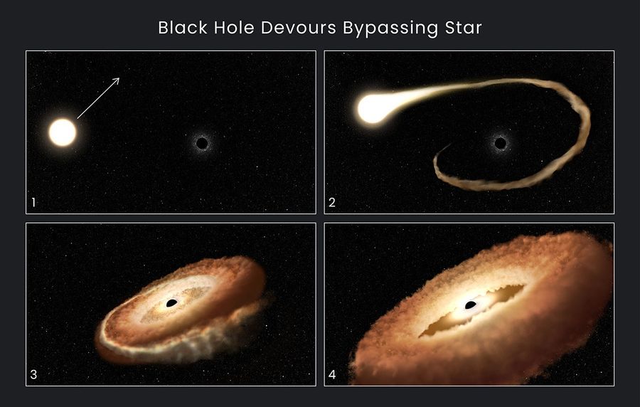 Four-panel illustration titled "Black Hole Devours Bypassing Star" showing four stages of a star being shredded by a black hole.