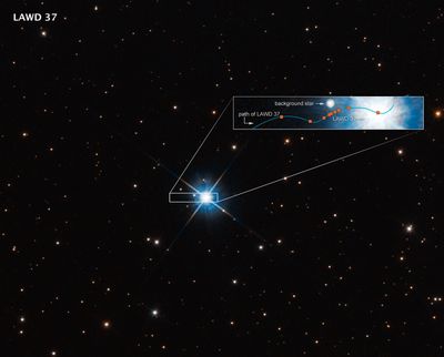Hubble Observations Used to Measure Mass of Lone White Dwarf Star LAWD 37