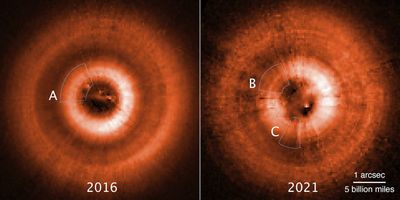 TW Hydrae Disk