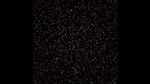 Hundreds of small white blobs and tiny yellow dots on a black background.