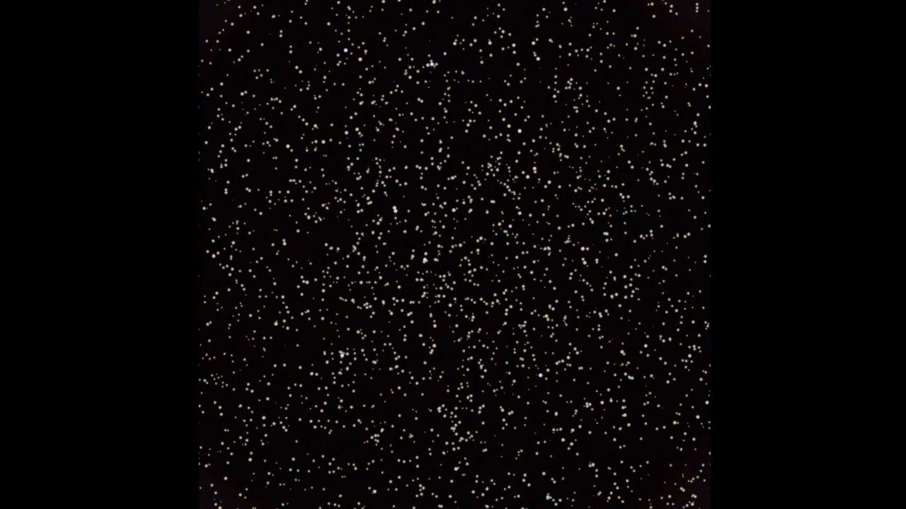 Hundreds of small white blobs and tiny yellow dots on a black background.